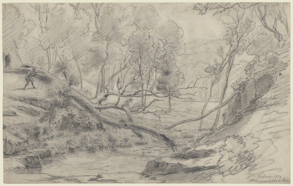 Warreneep Hills bei Ballarat, 1854 (SLV)