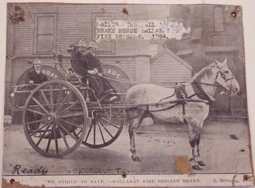Brake horse, Ballarat Fire Brigade, 1894, Sovereign Hill and Gold Museum 330.81