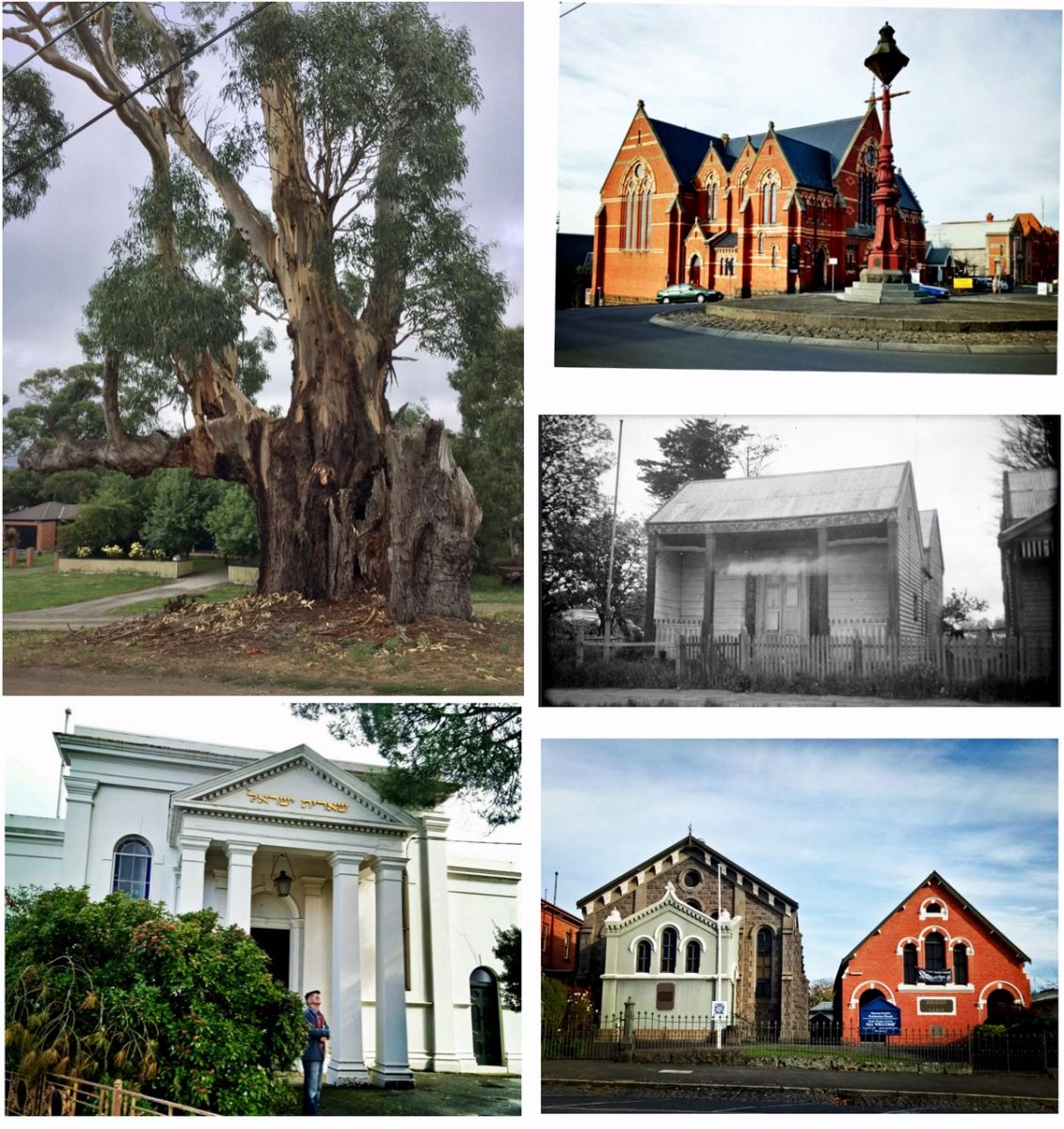 Sacred Places Collage anticlockwise from top right: Central Uniting Church, 103 Lydiard Street source Georgina Williams;  The Meeting Tree, Buninyong source Georgina Williams; Ballarat Synagogue, 2 Barkly Street, Ballarat East source Georgina Williams; Ebenezer St John's Presbyterian Church, 212 Armstrong Street South, source Georgina Williams; Ballarat - Chinese Joss House, VPRS 10516/P3 Unit 2 source PROV