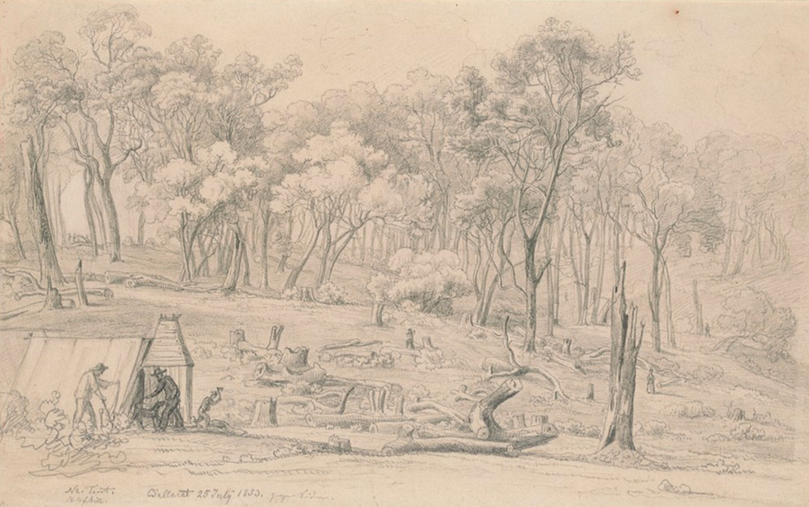Illustration showing rural area with trees and campsite