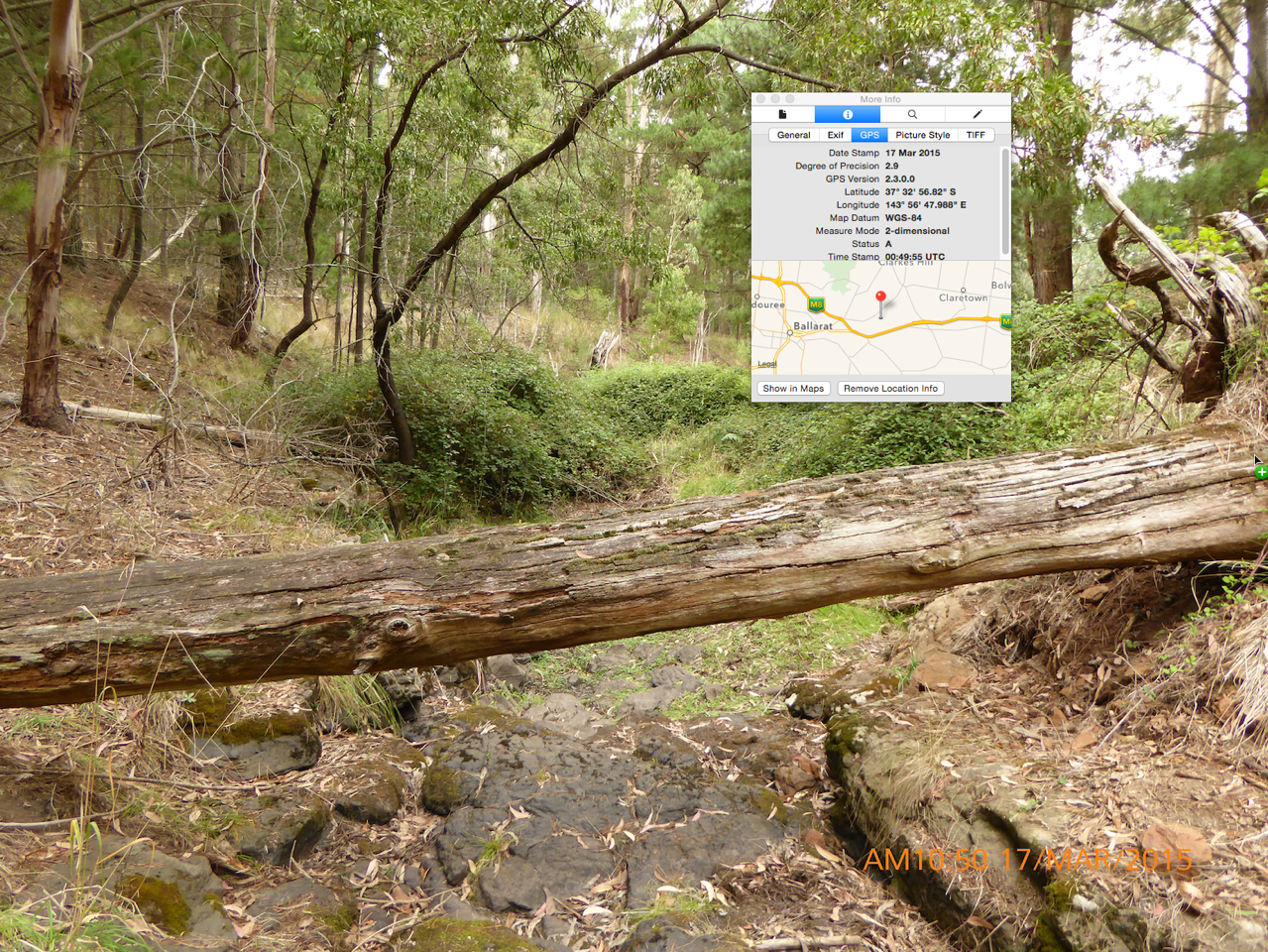 Site of the field drawing
