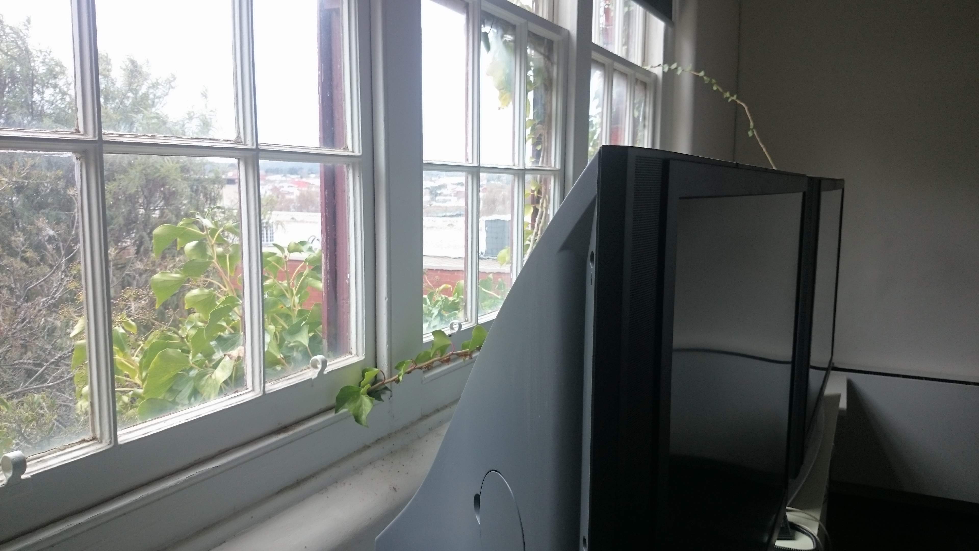 TVs in Window 2015